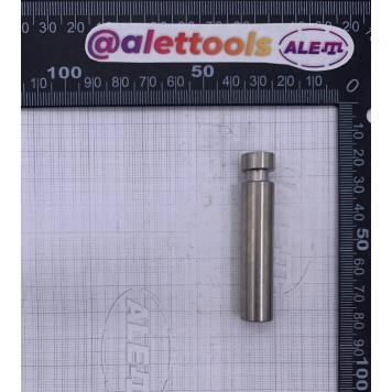 Поршень 118820913/0 в комплекте-1