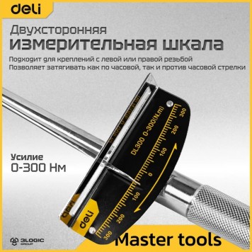 Ключ DL300 динамометрический 0-300Нм, 1/2" длина 480мм Deli-3