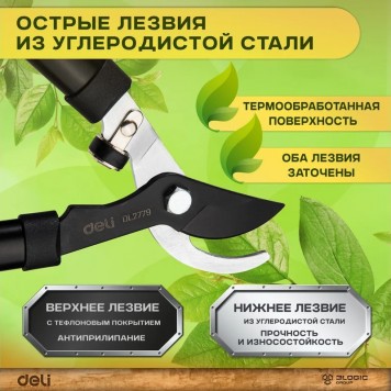 Н-р DL580002 сучкорез + секатор лезвия с тефлоновым покрытием, длина 75/21 см Deli-1