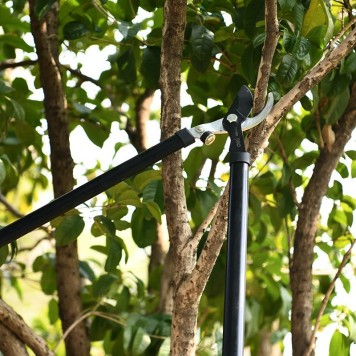 Н-р DL580002 сучкорез + секатор лезвия с тефлоновым покрытием, длина 75/21 см Deli-8