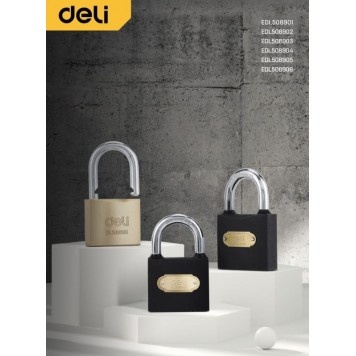 Замок навесной DL508902 стальной 38 мм Deli-3
