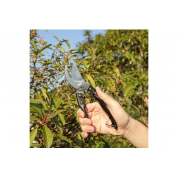 Секатор садовый DL580200, 205мм, Deli-12