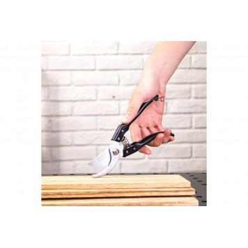 Секатор садовый DL580200, 205мм, Deli-6