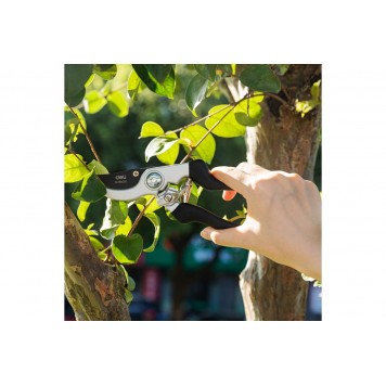 Секатор DL580203 210мм D-15мм Deli-12