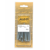 Блистер Винт WPM 6.0х50 с полной резьбой, уп 10шт. DIN 967 №2