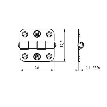 Петля ПН5-40 накладная, оцинкованная, 40 мм-1
