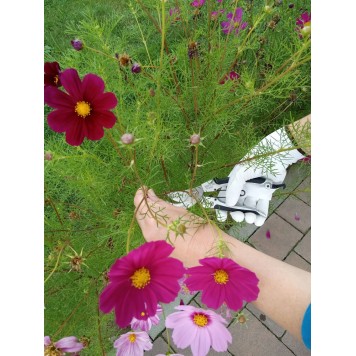 Секатор YT-8790 универсальный 200 мм YATO-1